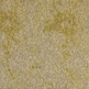 310
