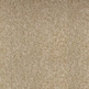 610